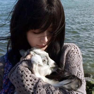 白蔷薇以身入局